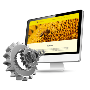 Website einrichten – BASIS & PRO