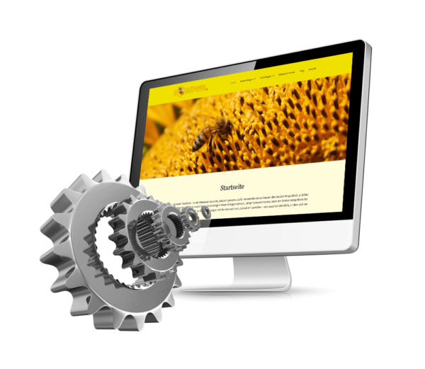 Website einrichten – BASIS & PRO